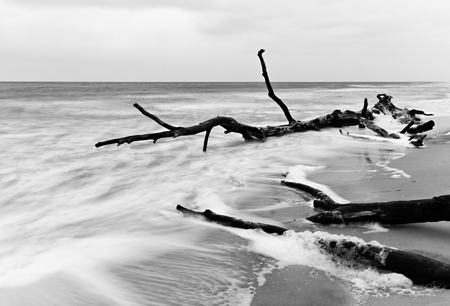 Weststrand Darß I