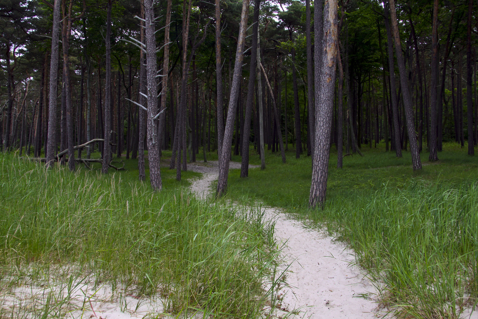 Weststrand - der Blick in die andere Richtung