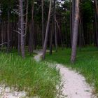 Weststrand - der Blick in die andere Richtung