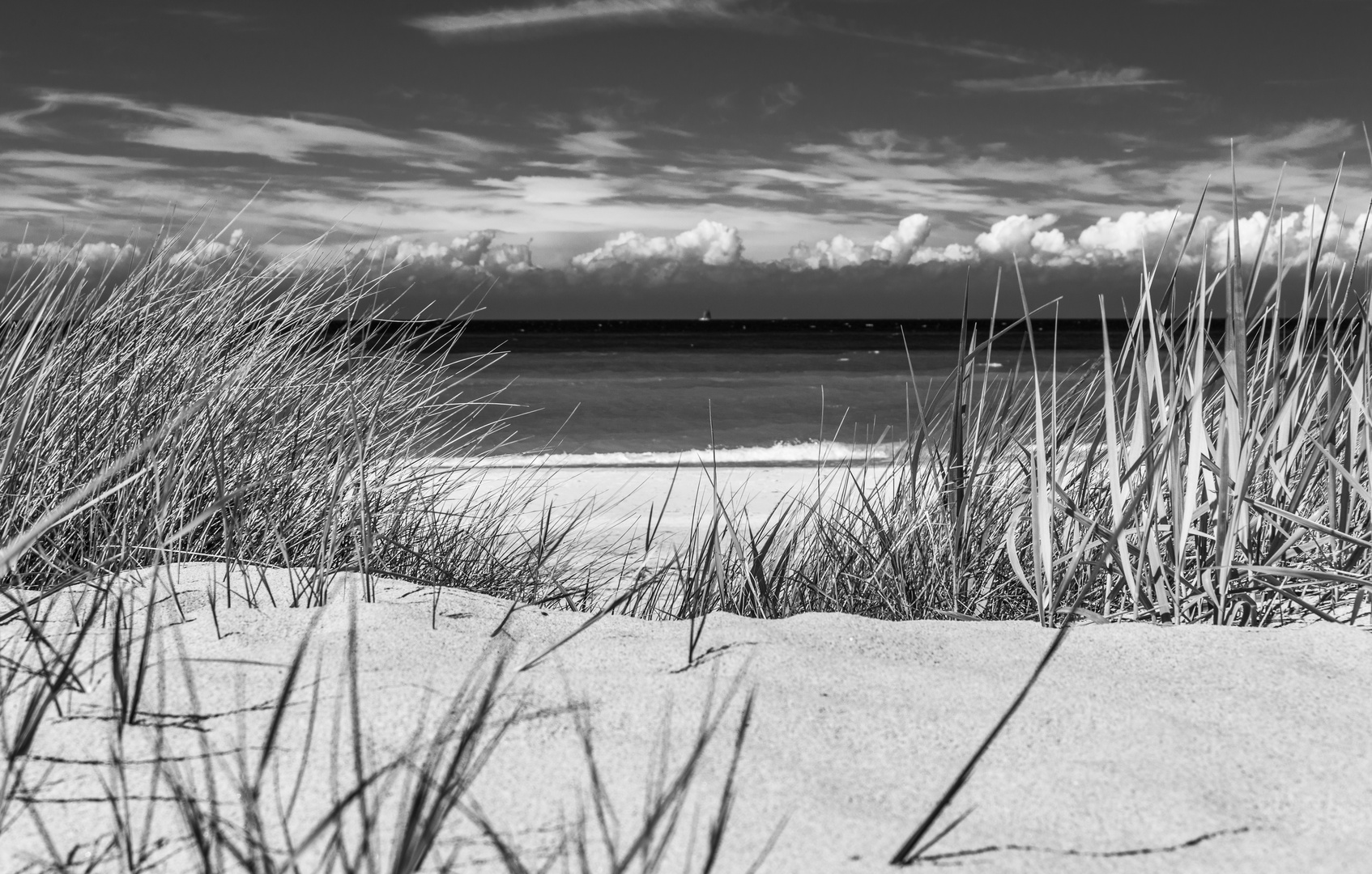 [ Weststrand, Dünen und Strandhafer ]