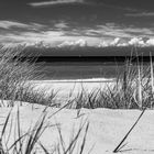 [ Weststrand, Dünen und Strandhafer ]