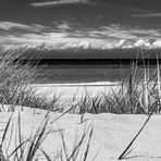 [ Weststrand, Dünen und Strandhafer ]