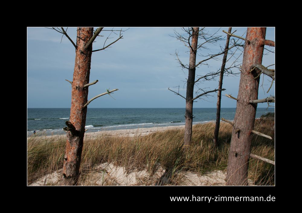 Weststrand Durchblick