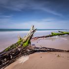 Weststrand Fischland-Darß-Zingst