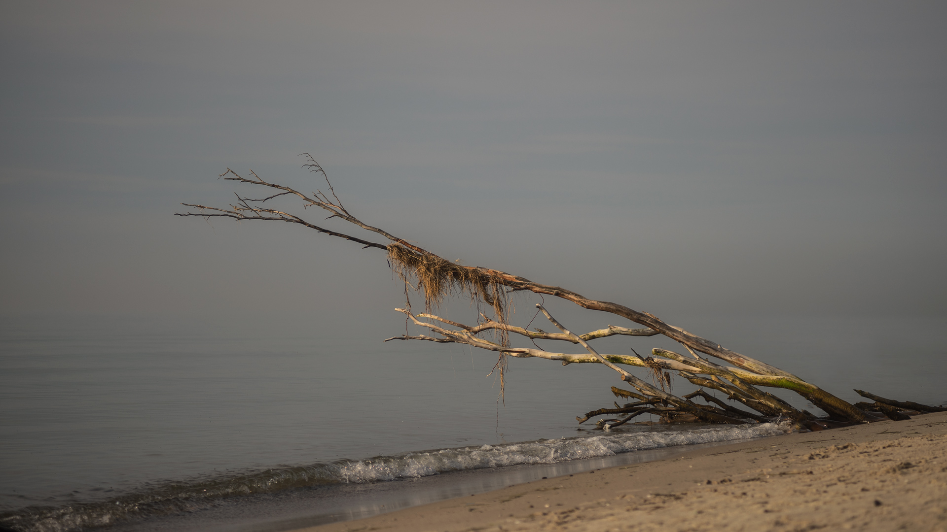 Weststrand - ganz ruhig