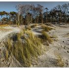 Weststrand I