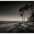 Weststrand II