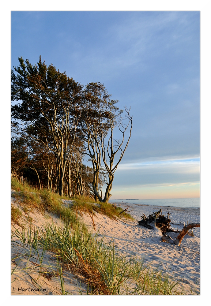 Weststrand (II)