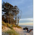 Weststrand (II)