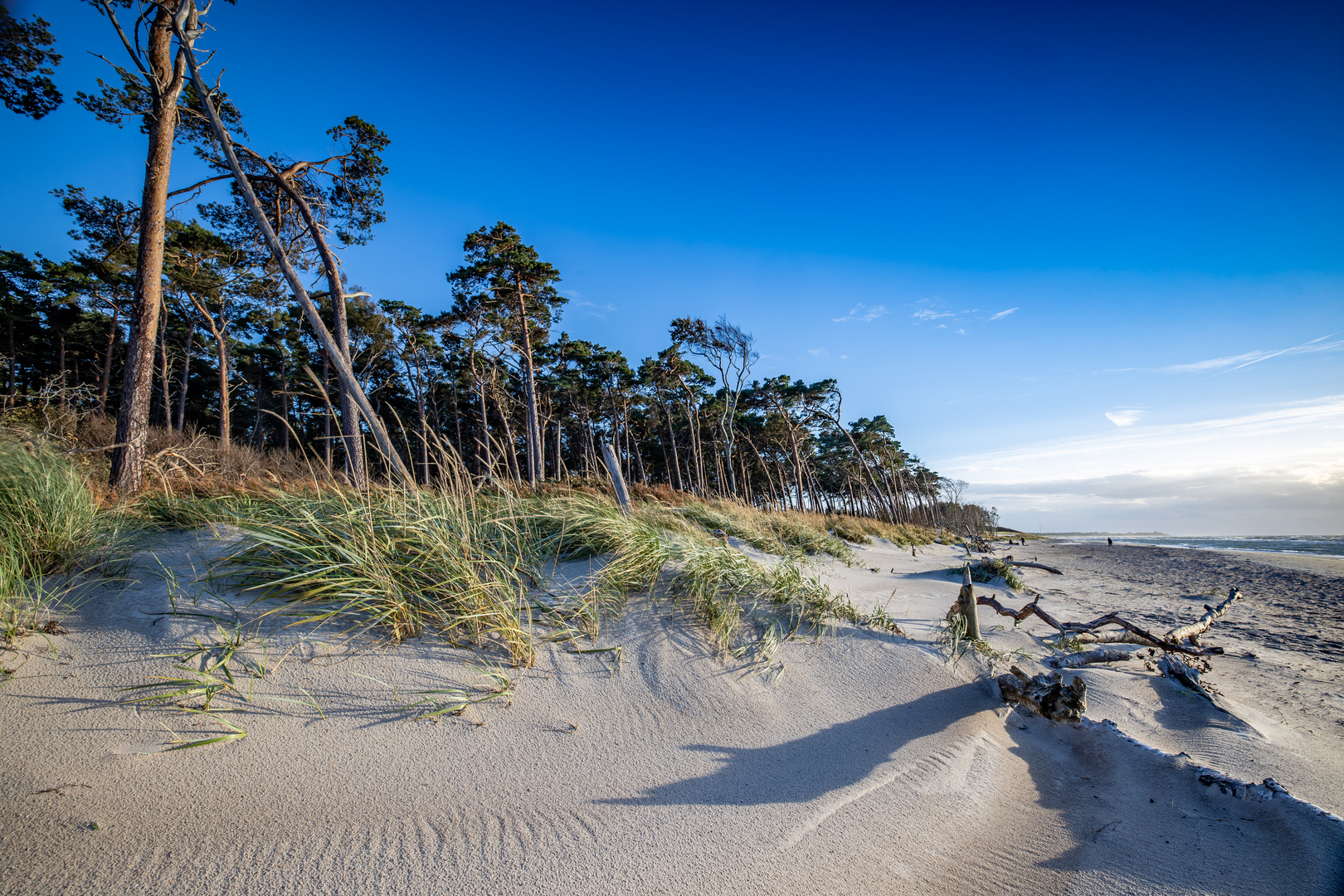 Weststrand im Abendlicht