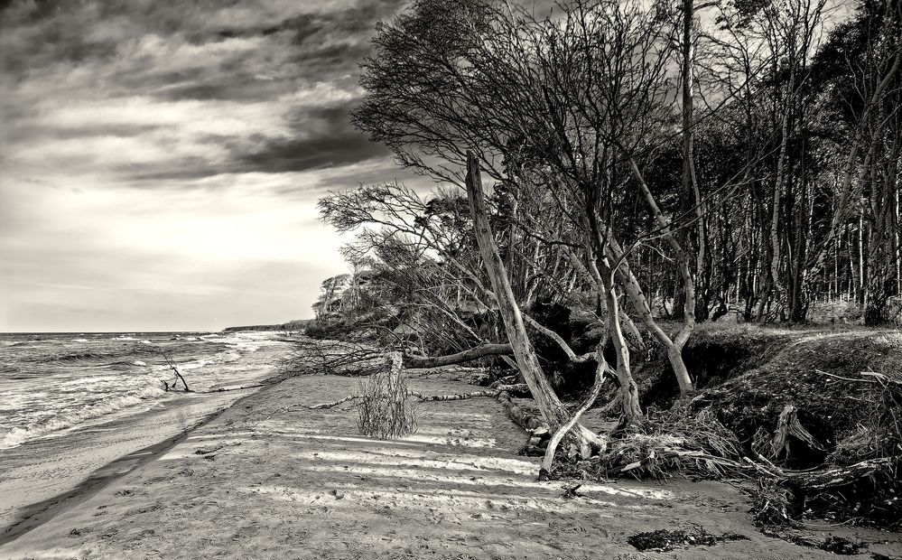 ... Weststrand im Oktober ...