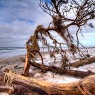 Weststrand im Winter