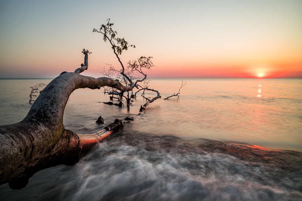 Weststrand Impressionen