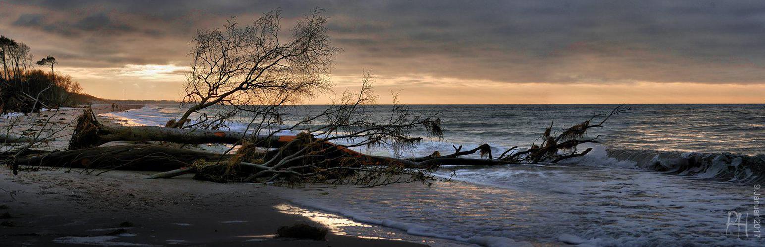 Weststrand-Panorama