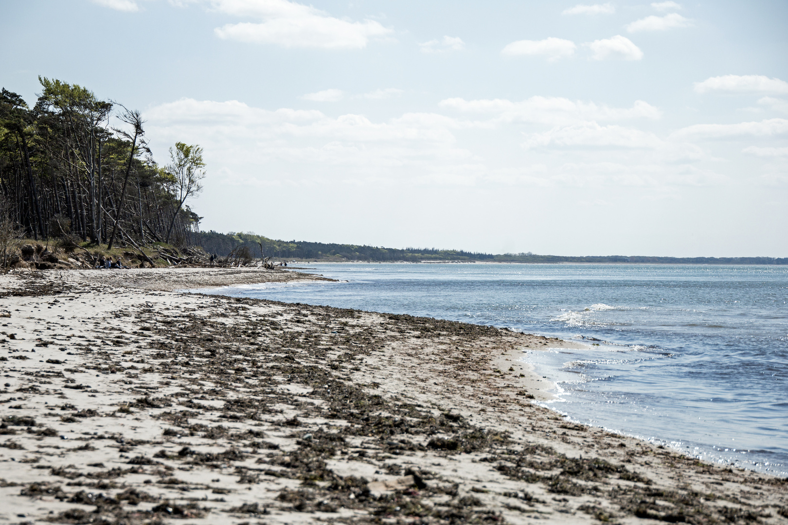 Weststrand Richtung Ahrenshoop