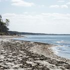 Weststrand Richtung Ahrenshoop