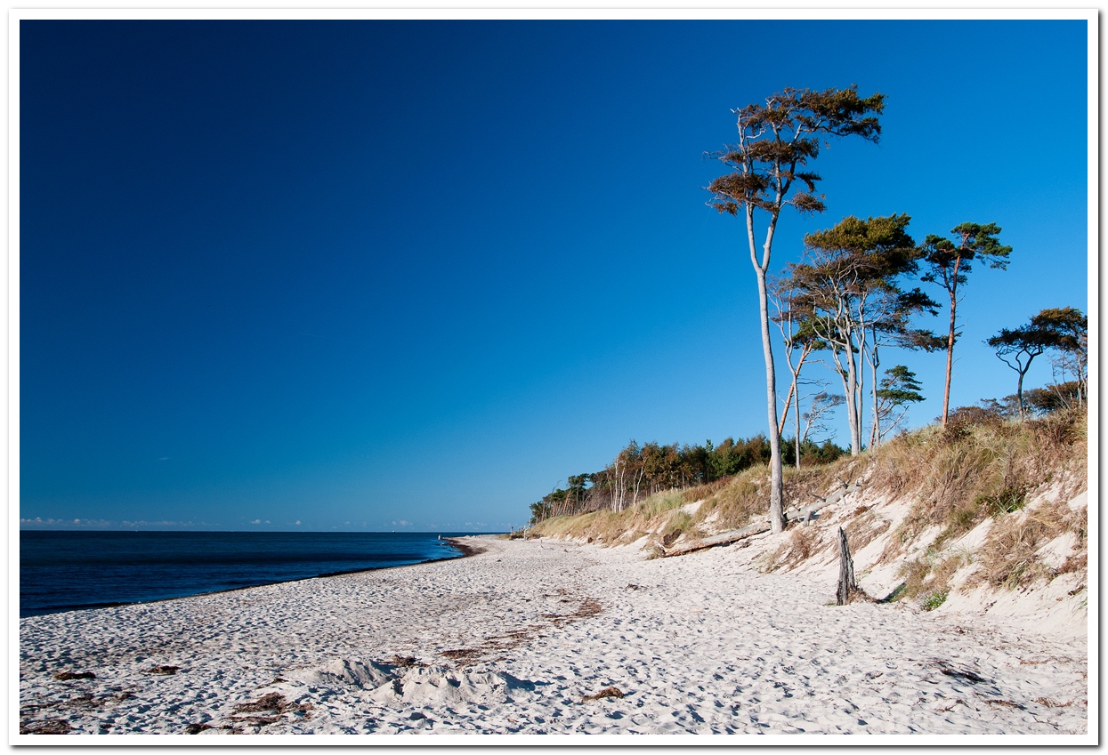 Weststrand Sommer 2014