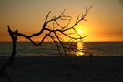 Weststrand Sunset von Wil.Hill 