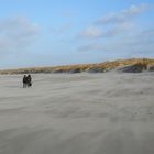 Weststrand Sylt