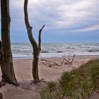 Weststrand und Drei Eichen