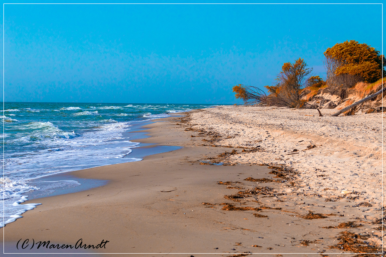 Weststrand - Urlaubserinnerungen