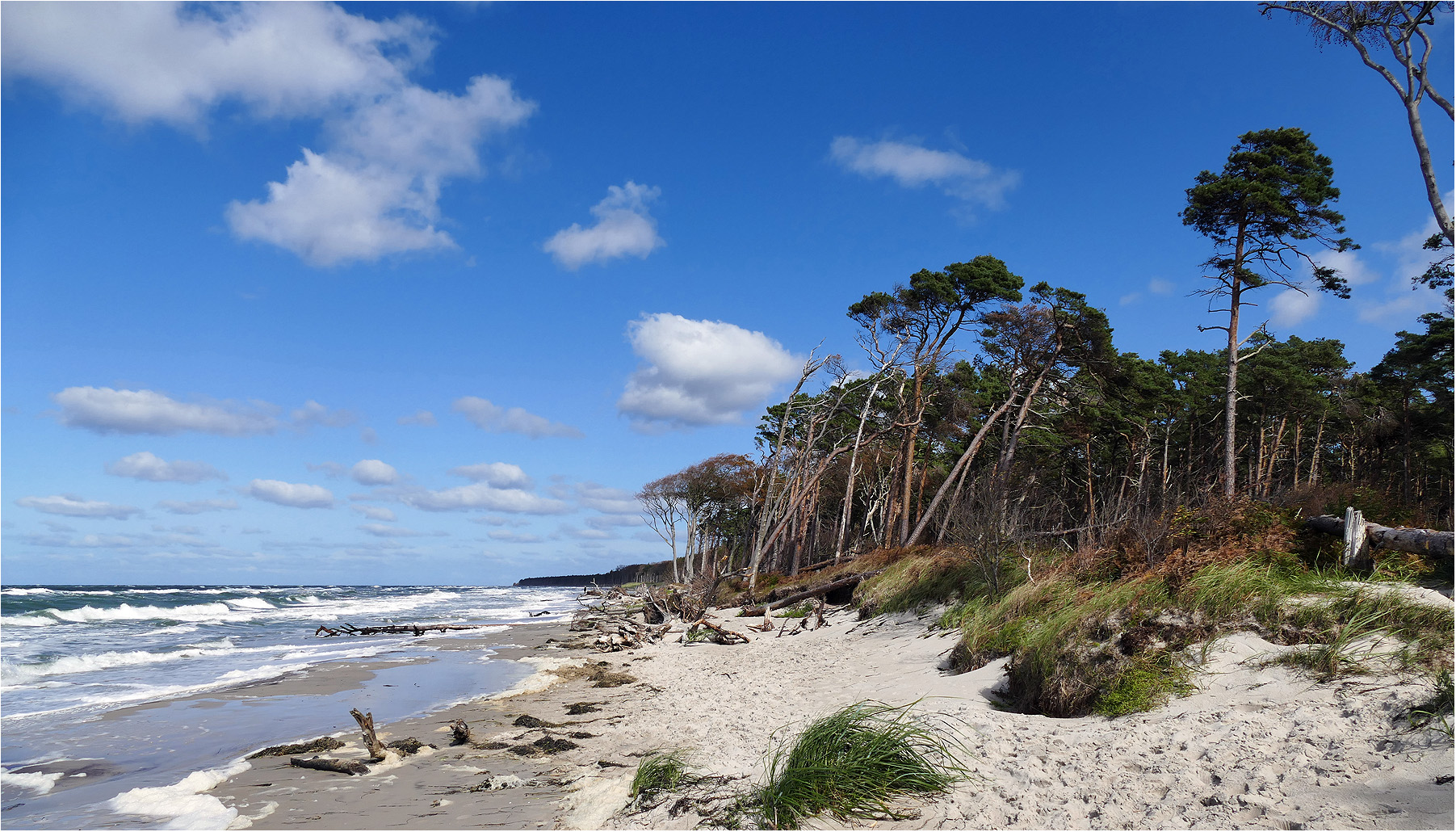 Weststrand Zingst 2020 / 01