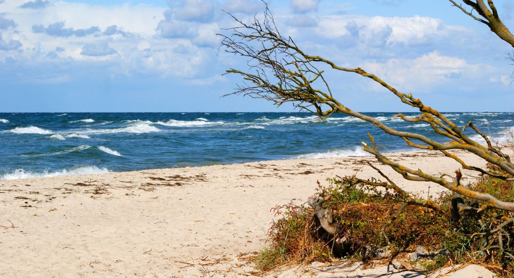 Weststrand/Darß Foto & Bild | deutschland, europe, mecklenburg