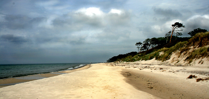 Weststrand/Darß