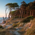 Weststrand/Darß in der Abendsonne