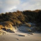 Weststranddüne im Winterlicht