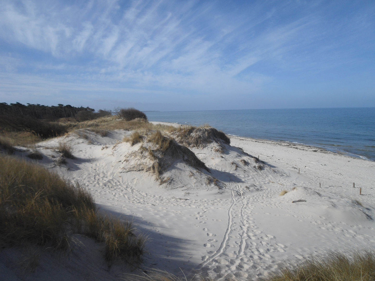 Weststranddünen