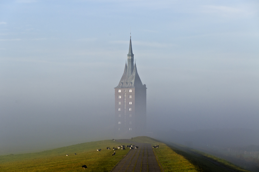 Westturm mit Gänsen