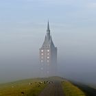 Westturm mit Gänsen