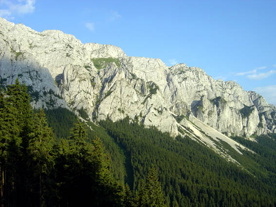 Westwald panorama