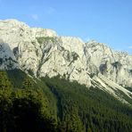 Westwald panorama