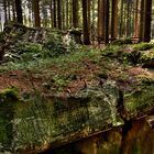 Westwall Bunker in der Eifel 2