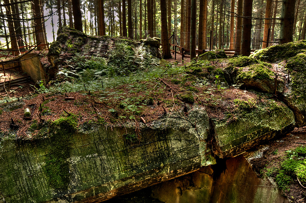 Westwall Bunker in der Eifel 2