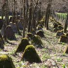 Westwall - Hökerlinie in der Eifel