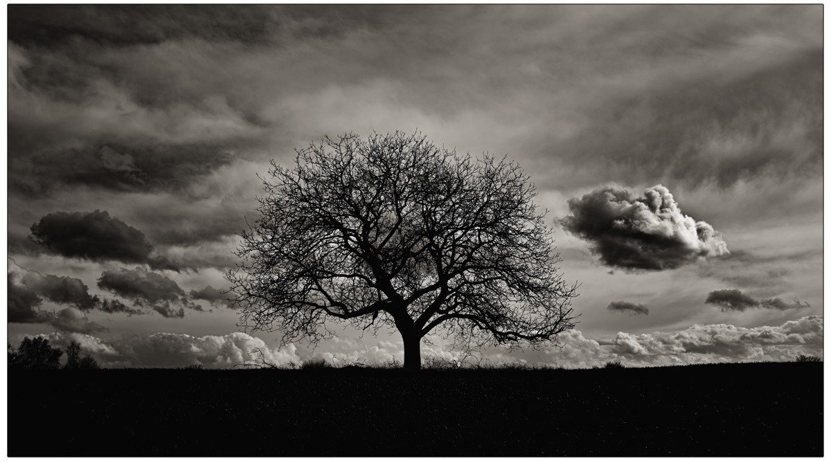 Westwind Foto & Bild fotokunst, monochrome fine art, spezial Bilder