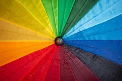 Wet Colours