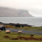 Wet day on the Isle of Mull