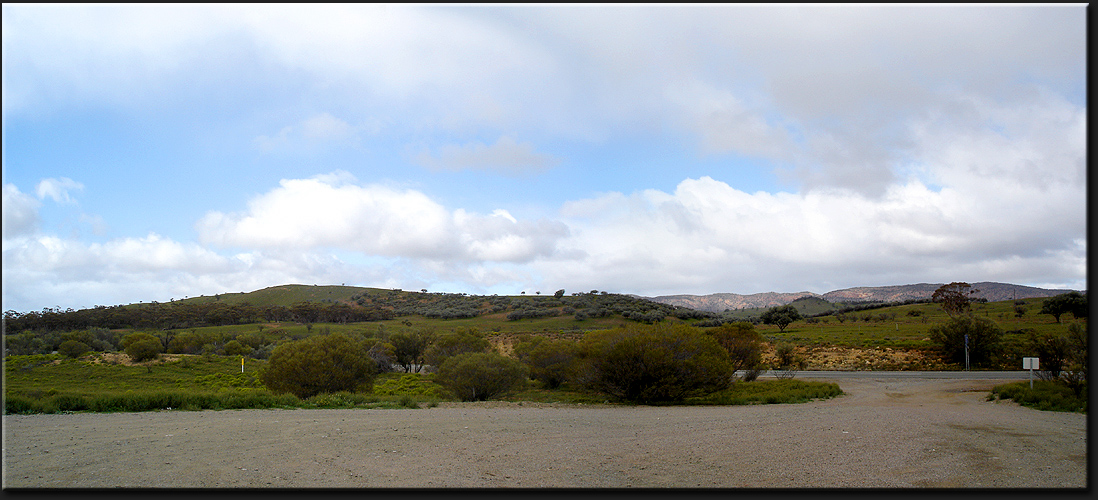 Wet Flinders Ranges