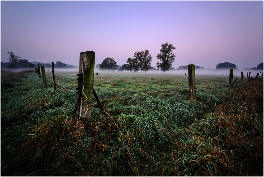 Wet & Foggy