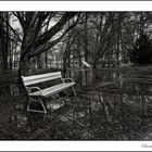 ......wet park bench....