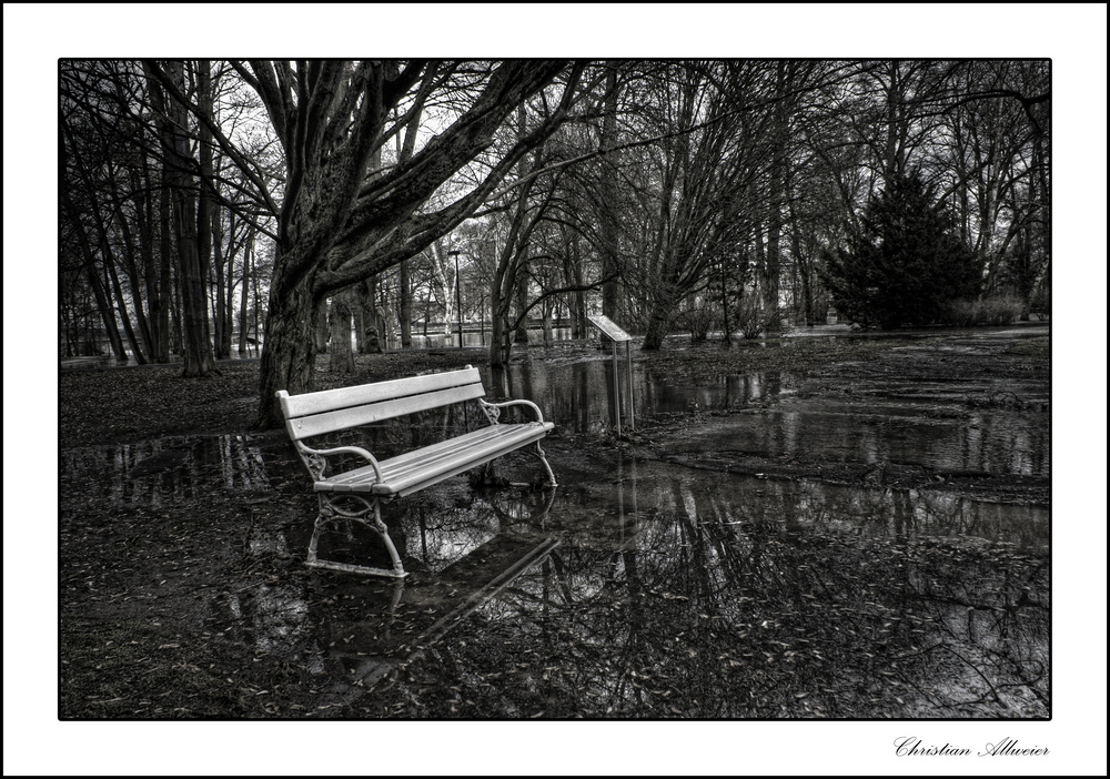 ......wet park bench....