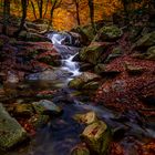 wet path to light.. - (cami vers la llum..)