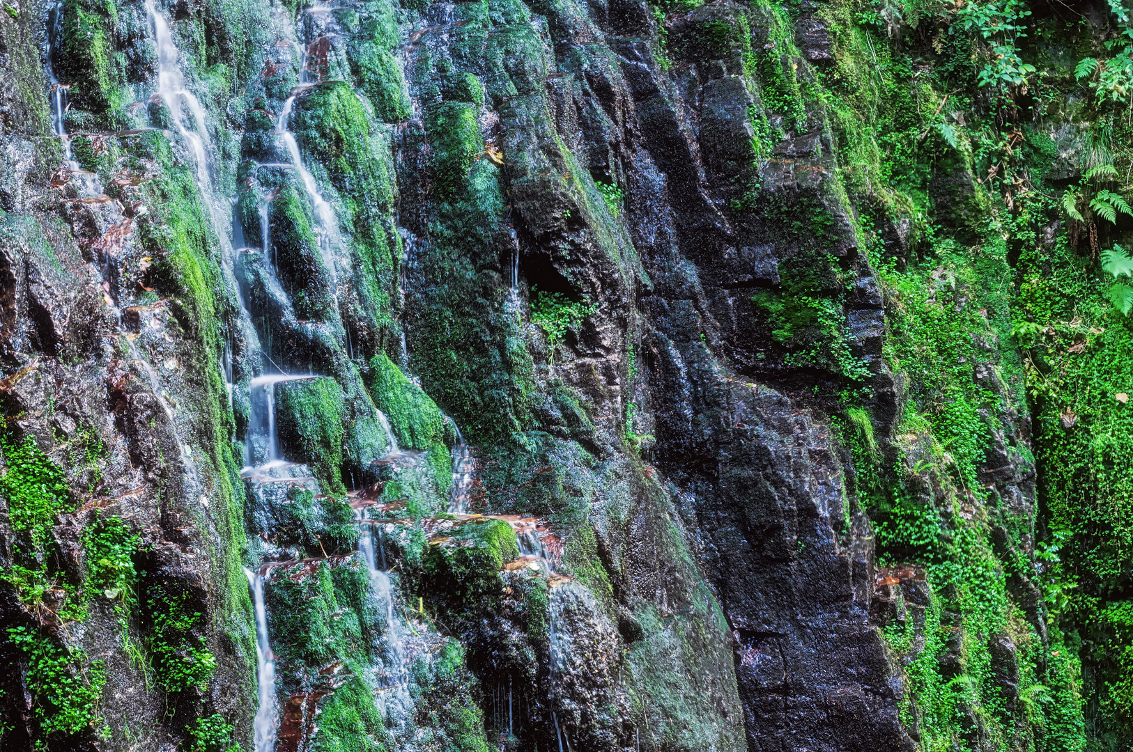 wet rocks