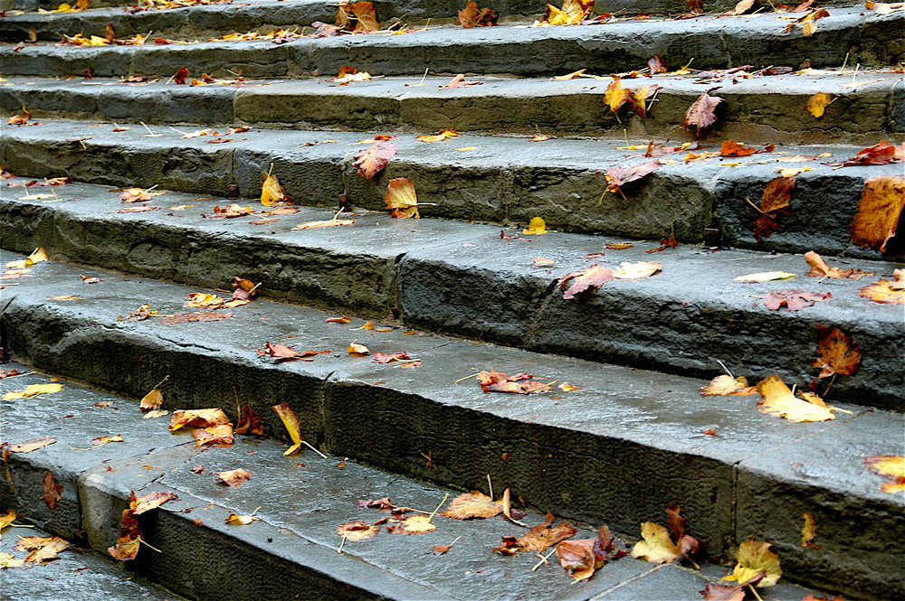 wet steps