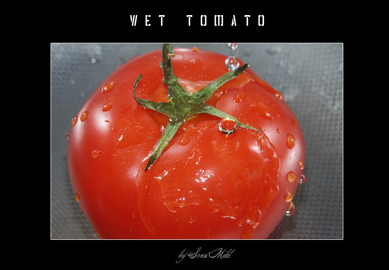 Wet Tomato