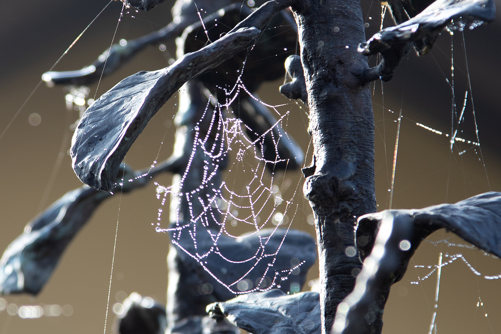 Wet Web on a Sculpture